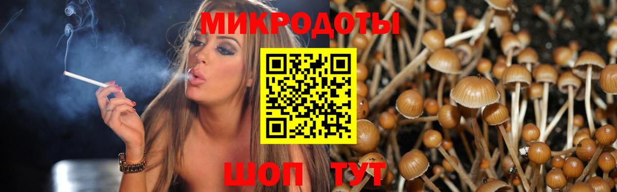 Кинель  Псилоцибиновые грибы Psilocybine cubensis  Вход с VPN 